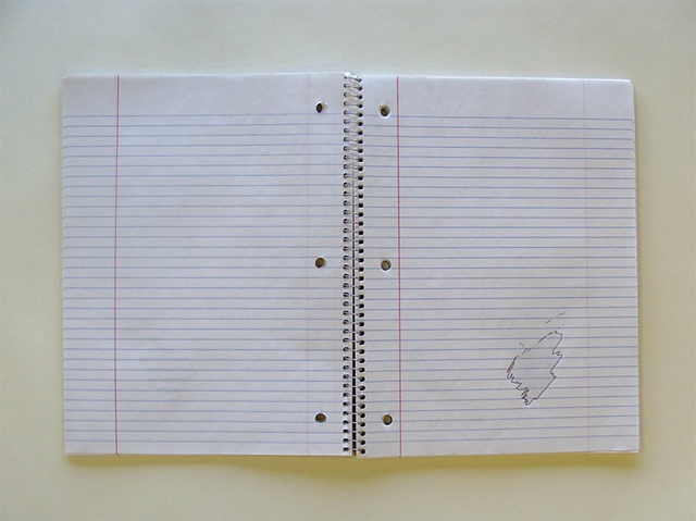 A POSTERIORI DRAWINGS (page 29)
