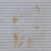 A POSTERIORI DRAWINGS (page 17)