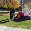 bear at the tent show