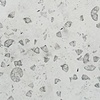 dust, pencil shavings, ghost