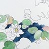 water lilies (I)
