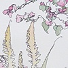 Watered Desert 