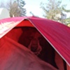 tent show 2007