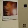 untitled polaroids 2007-2008 