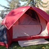 bear at the tent show