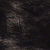 memory (x)