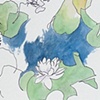 water lilies (III)