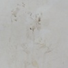 the joy of drawing (Christie's leaf drawing)
