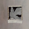 stuck here in the middle (detail)