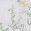 mysterious yellow roses and ferns
