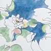water lilies (II)