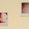 untitled polaroids 2007-2008 