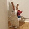 The Nervous Rabbit