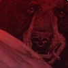 bear at the tent show