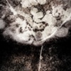 Dimensional Tension #8