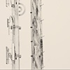 Cell Towers