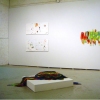 Installation shot, Lisa Boyle Gallery, Chicago, IL