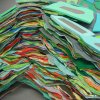 (detail) Isthmus