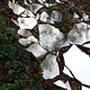 (detail) Seeing Ghosts
