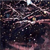 Untitled (Snowstorm)