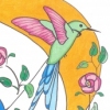 Hummingbird