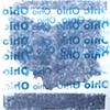 ohio / build you up split 7" eau records