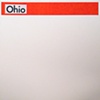ohio / build you up split 7" eau records