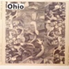 ohio / build you up 7" split eau records