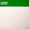 ohio / build you up 7" split eau records