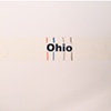 ohio / build you up split 7" eau records