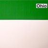 ohio / build you up 7" split eau records