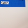 ohio / build you up split 7" eau records