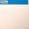 ohio / build you up 7" split eau records
