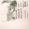 ohio / build you up split 7" eau records