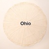 ohio / build you up split 7" eau records