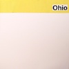 ohio / build you up 7" split eau records