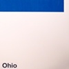 ohio / build you up 7" split eau records