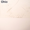 ohio / build you up 7" split eau records
