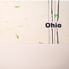 ohio / build you up 7" split eau records