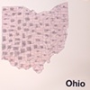 ohio / build you up 7" split eau records