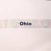 ohio / build you up split 7" eau records