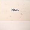ohio / build you up split 7" eau records