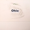 ohio / build you up 7" split eau records