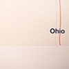 ohio / build you up 7" split eau records