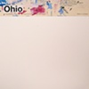 ohio / build you up split 7" eau records