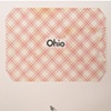 ohio / build you up split 7" eau records