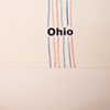 ohio / build you up 7" split eau records
