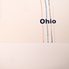 ohio / build you up 7" split eau records