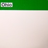 ohio / build you up 7" split eau records