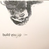 ohio / build you up split 7" eau records